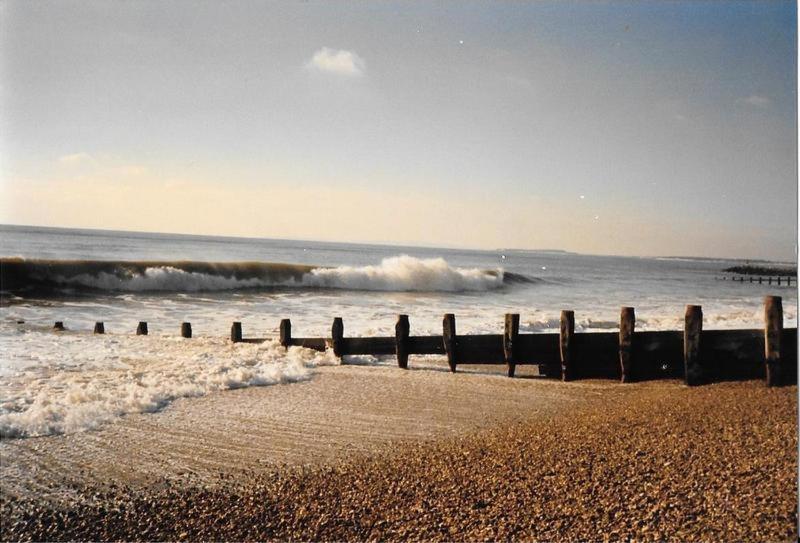 Pine Lodge Barton on Sea Bagian luar foto